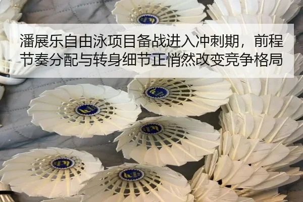 潘展乐自由泳项目备战进入冲刺期，前程节奏分配与转身细节正悄然改变竞争格局